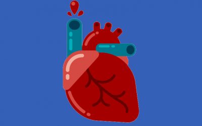 Chiropractic and the Heart