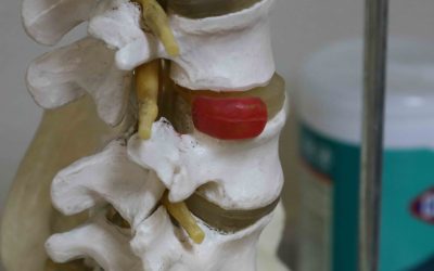 Back to School and Chiropractor